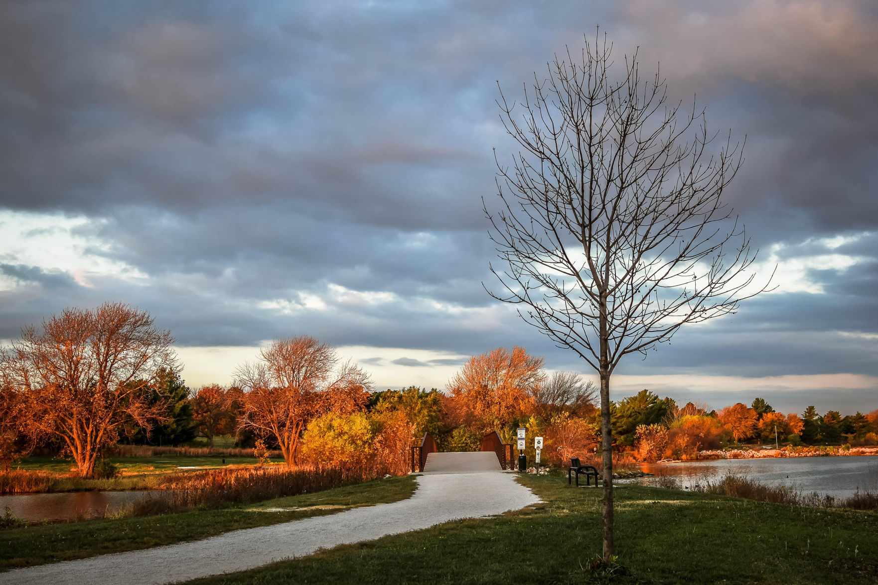 Fall day
